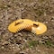 Gardenised Decorative Pair of Leaf Scoops, Hand Rakes for Lawn and Garden Cleanup, Yellow QI003286.YL - alternate 9